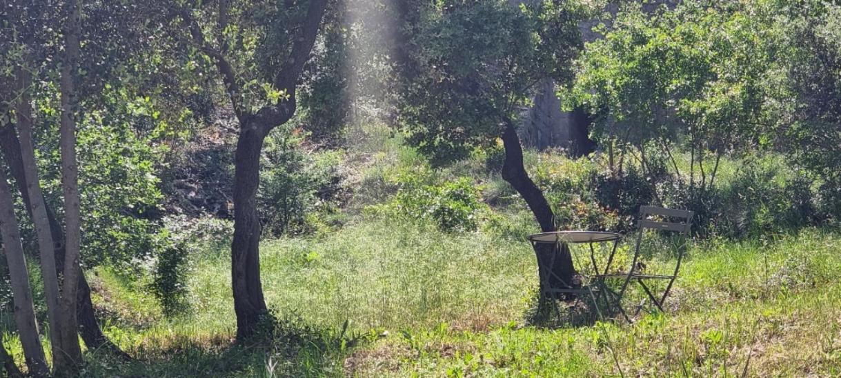 Les Bois De Zola Entre Provence Et Luberon Aparthotel Saint-Esteve-Janson Ruang foto