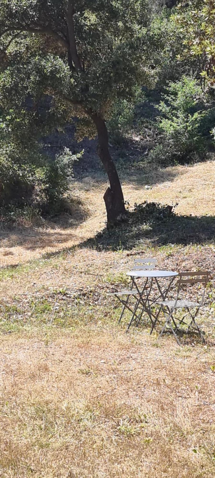 Les Bois De Zola Entre Provence Et Luberon Aparthotel Saint-Esteve-Janson Bagian luar foto